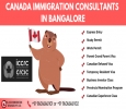 Best Immigration Consultants In Bangalore